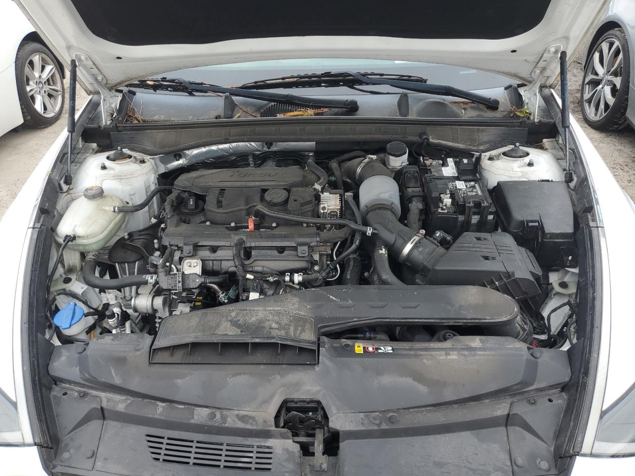 2020 Hyundai Sonata VIN 5NPEH4J28LH040923 Copart auction photo, water/flood damage thumbnail 11