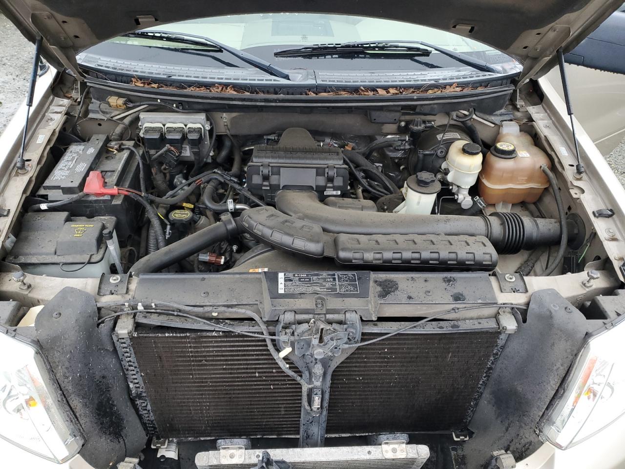 2008 Ford F-150 VIN 1FTPX125X8KE94859 Copart auction photo, minor dent/scratches damage thumbnail 11