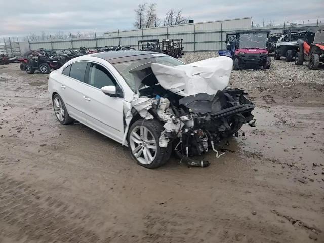 2013 Volkswagen Passat CC VIN WVWRN7AN3DE524845 Copart auction photo, front end damage thumbnail 11