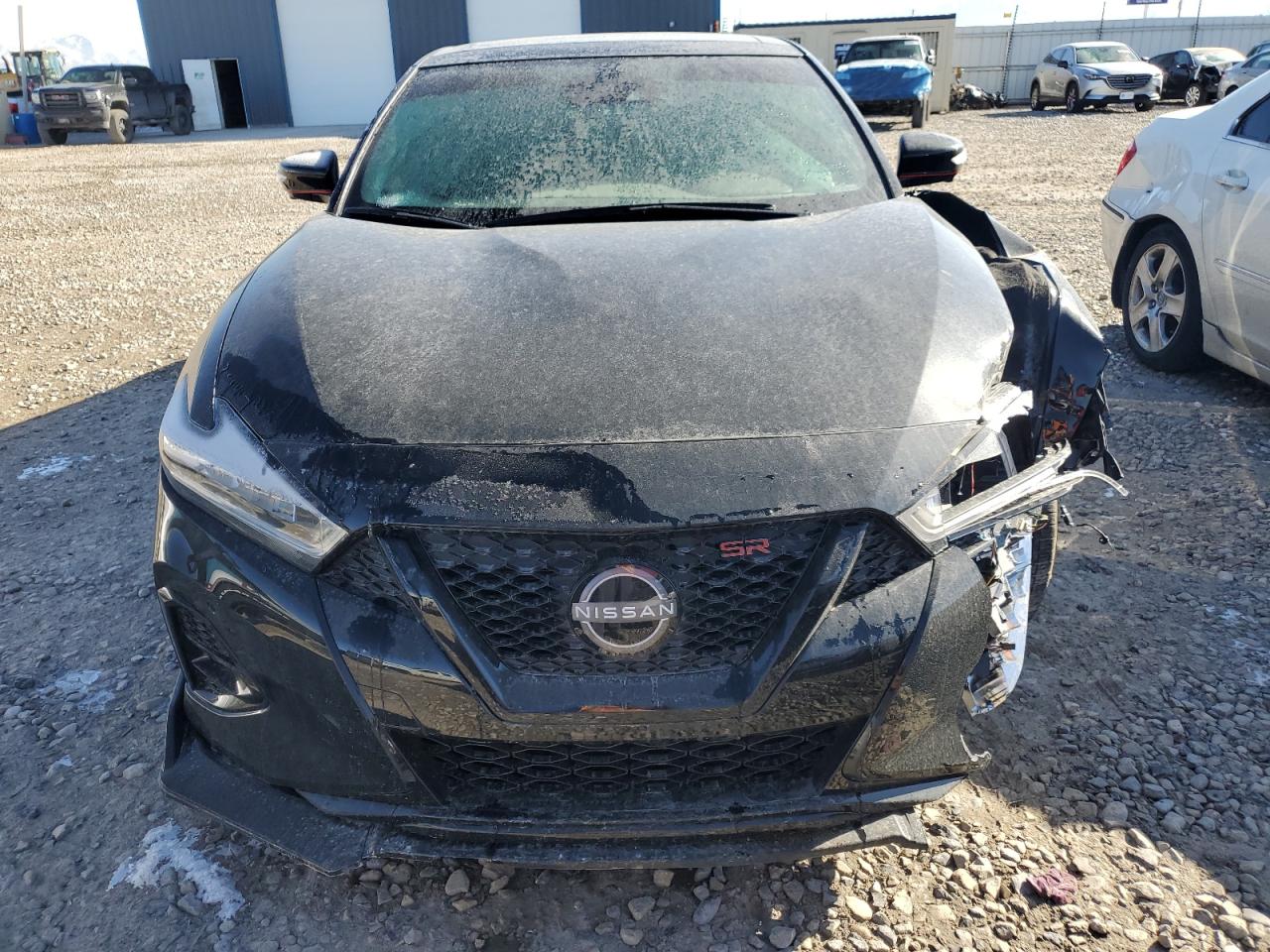 2023 Nissan Maxima VIN 1N4AA6EV1PC502720 Copart auction photo, front end damage thumbnail 5