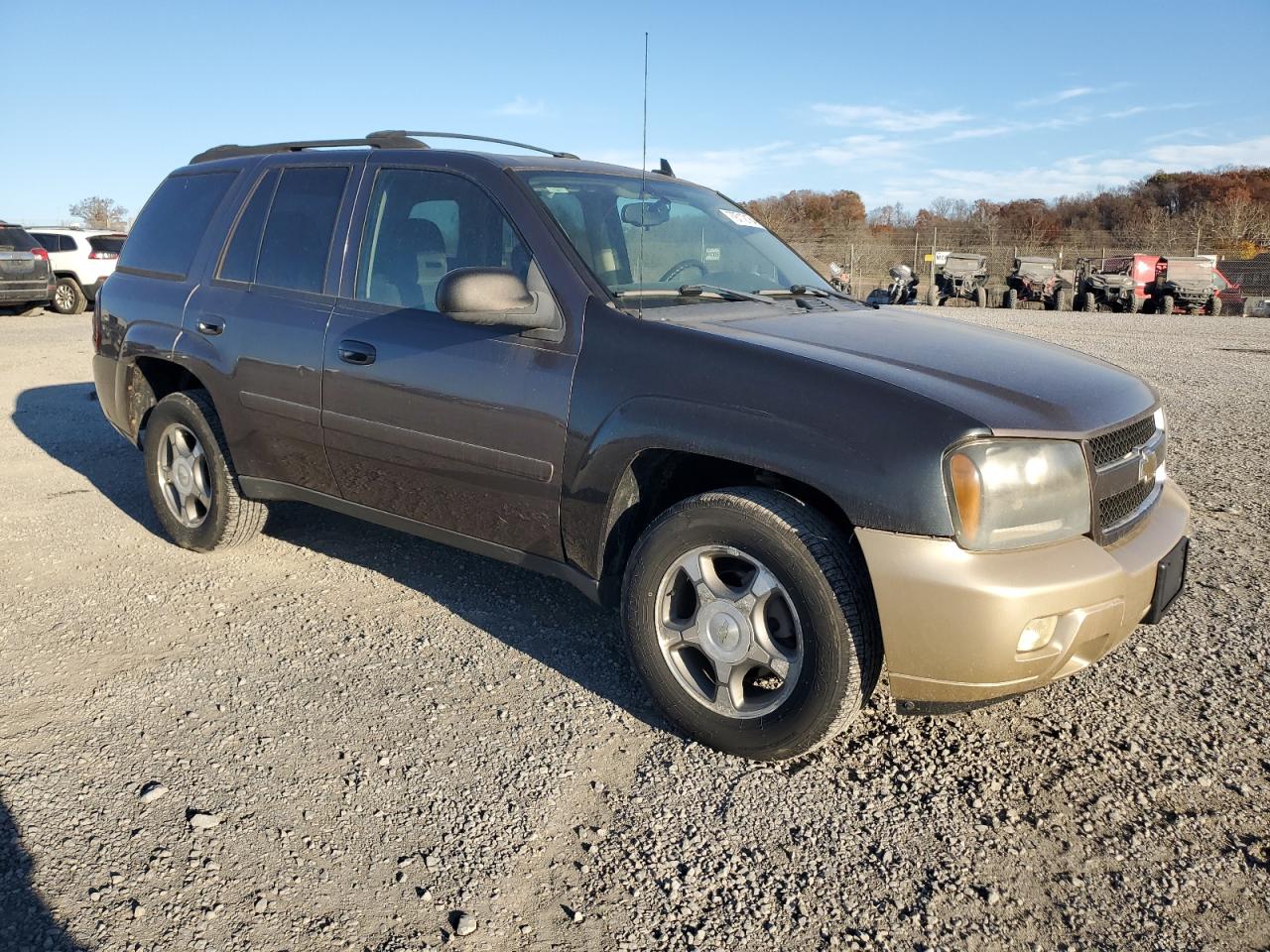 2008 Chevrolet TrailBlazer VIN 1GNDT13S982123587 Copart auction photo, partial repair / mechanical damage thumbnail 4