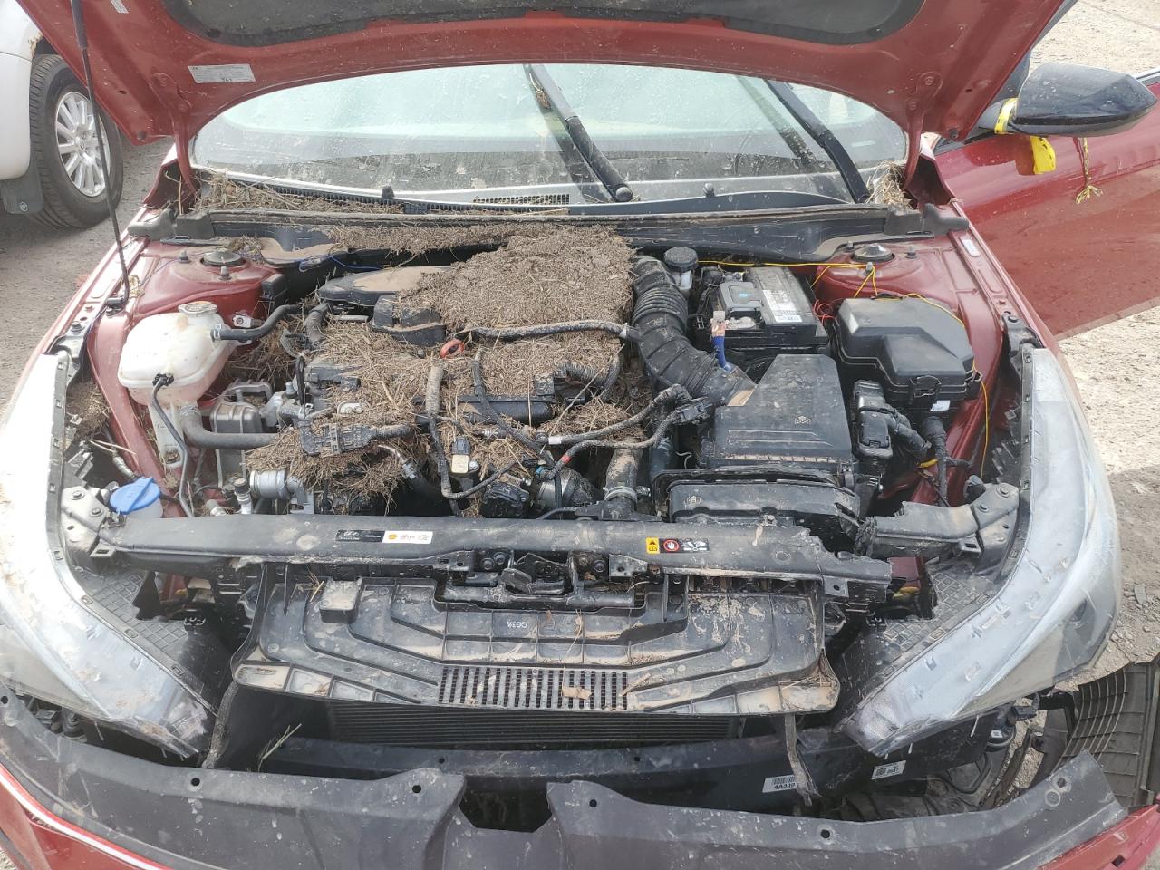 2022 Hyundai Elantra VIN KMHLR4AF7NU266611 Copart auction photo, water/flood / front end damage thumbnail 11