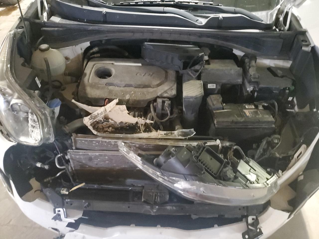 2019 KIA Sportage VIN KNDPMCAC6K7598070 Copart auction photo, front end / minor dent/scratches damage thumbnail 12