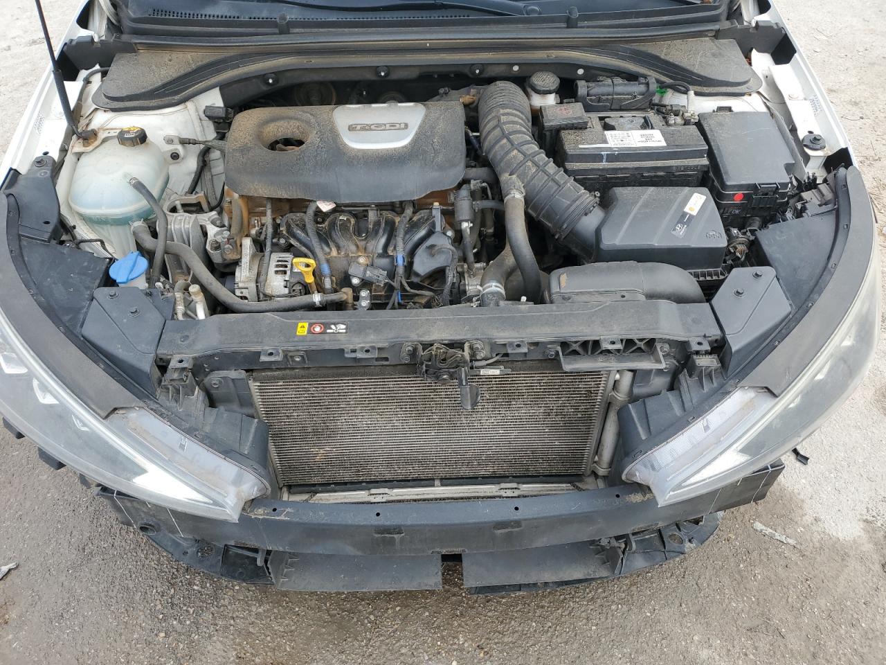 2019 Hyundai Elantra VIN KMHD04LB1KU813053 Copart auction photo, front end / rear end damage thumbnail 11