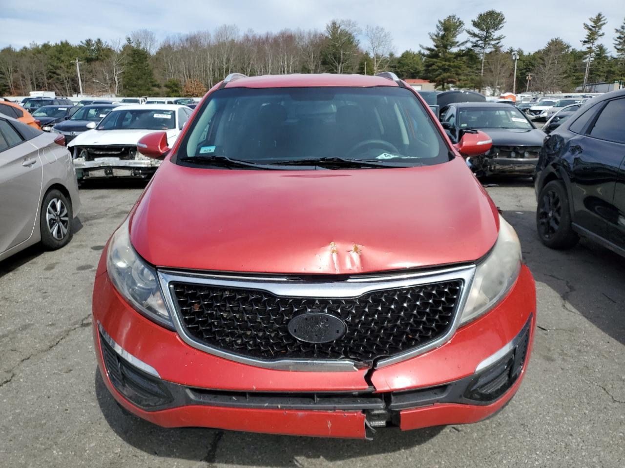 2014 KIA Sportage VIN KNDPB3AC4E7613787 Copart auction photo, front end / minor dent/scratches damage thumbnail 5