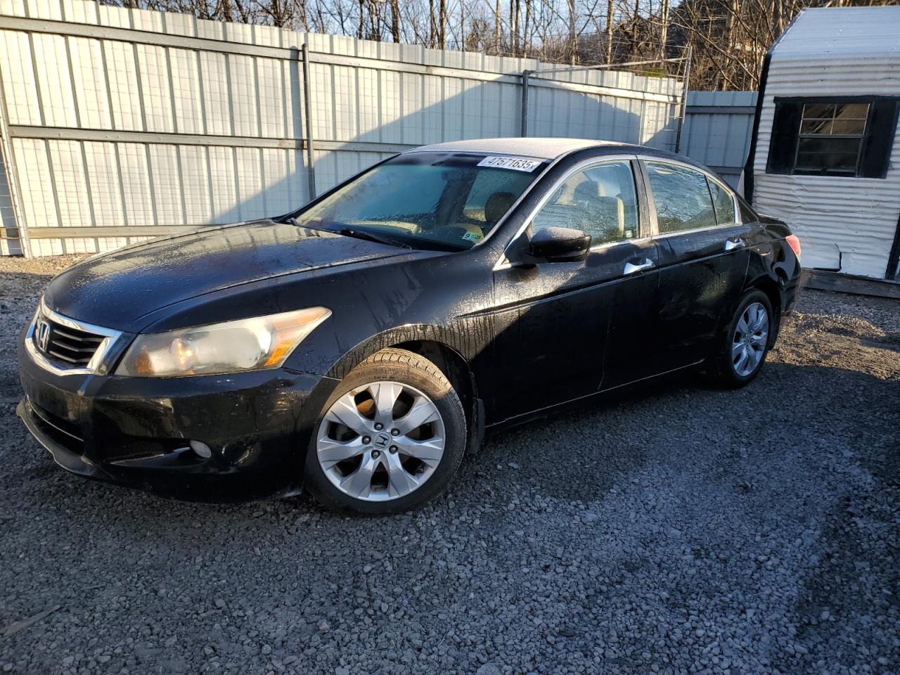2009 Honda Accord VIN 1HGCP36869A020169
