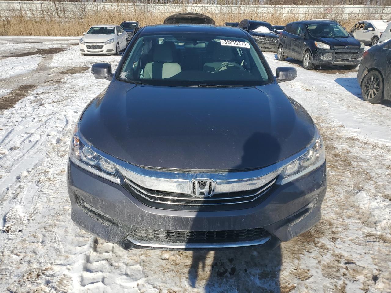 2016 Honda Accord VIN 1HGCR2F76GA126565 Copart auction photo, side / minor dent/scratches damage thumbnail 5