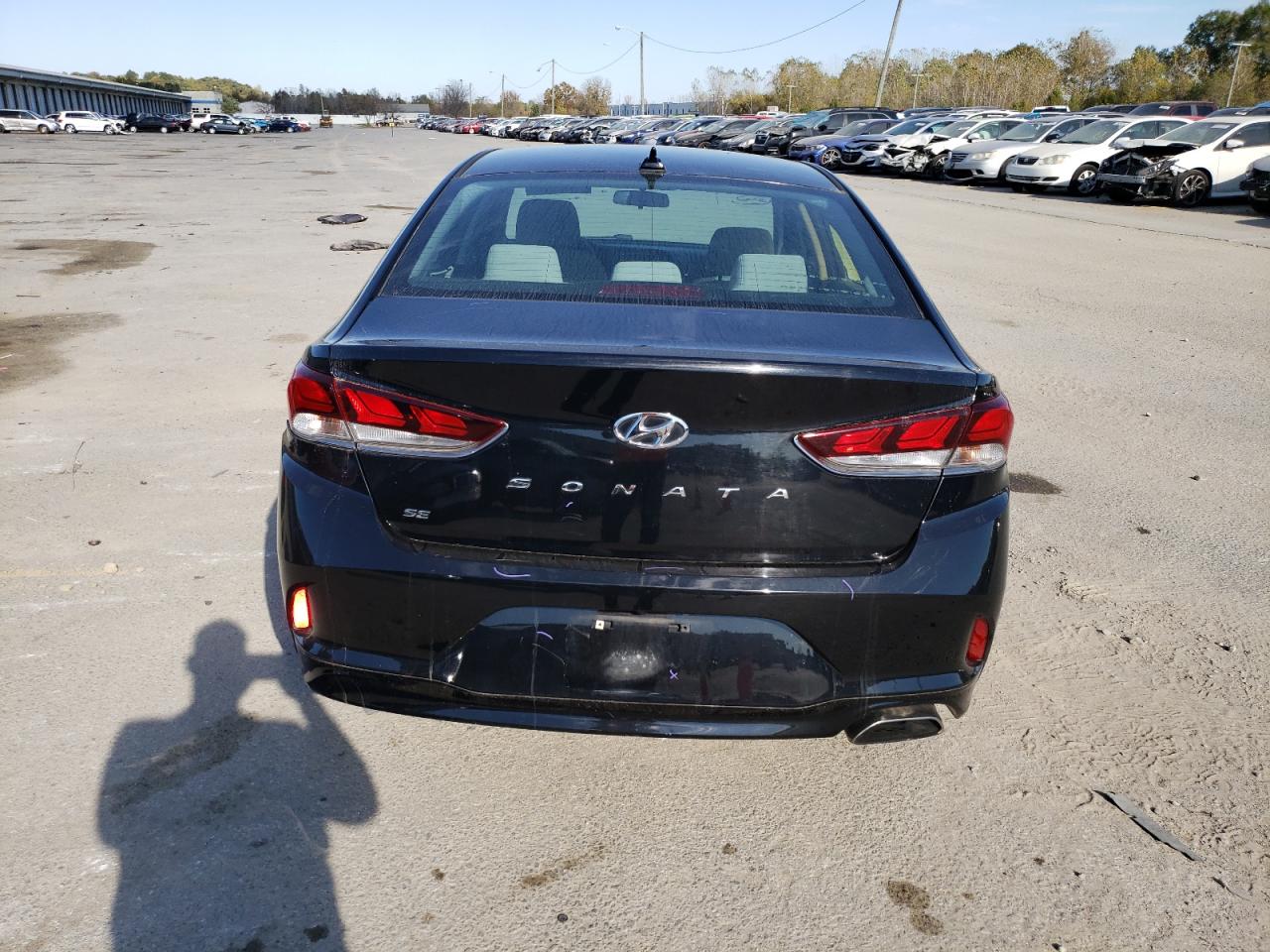 2019 Hyundai Sonata VIN 5NPE24AF4KH819500 Copart auction photo, vandalism damage thumbnail 6