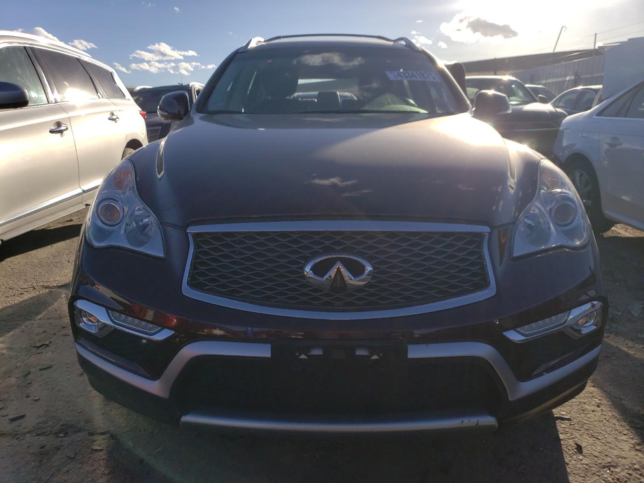 2016 Infiniti QX50 VIN JN1BJ0RR4GM270250 Copart auction photo, rear end / hail damage thumbnail 5