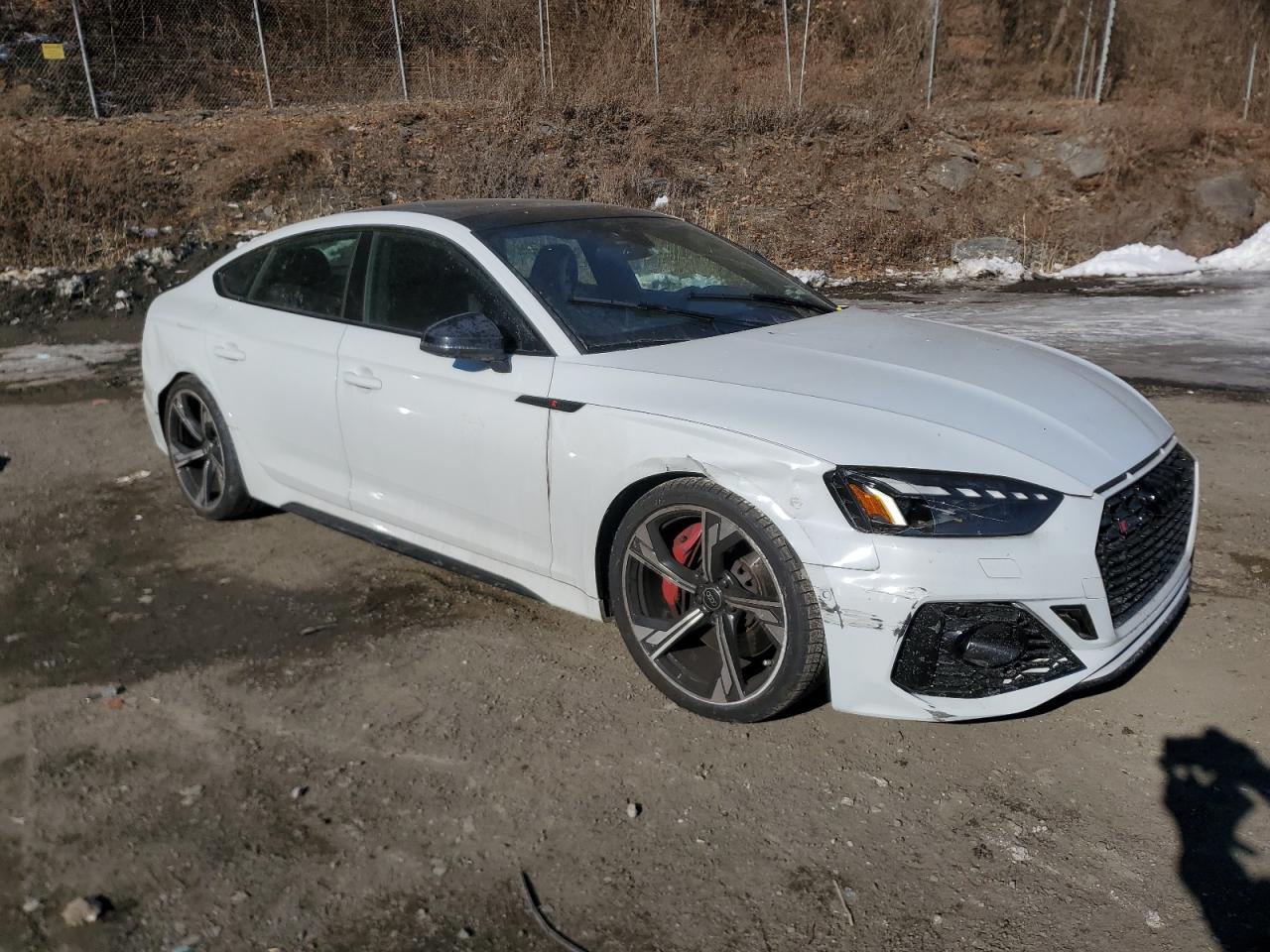 2023 Audi RS5 VIN WUAAWCF51PA900100 Copart auction photo, side damage thumbnail 4