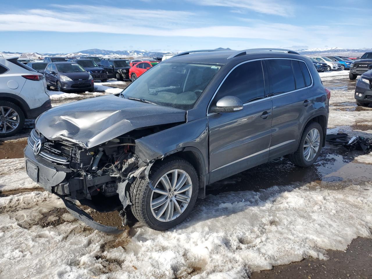 2016 Volkswagen Tiguan VIN WVGBV7AX7GW523842
