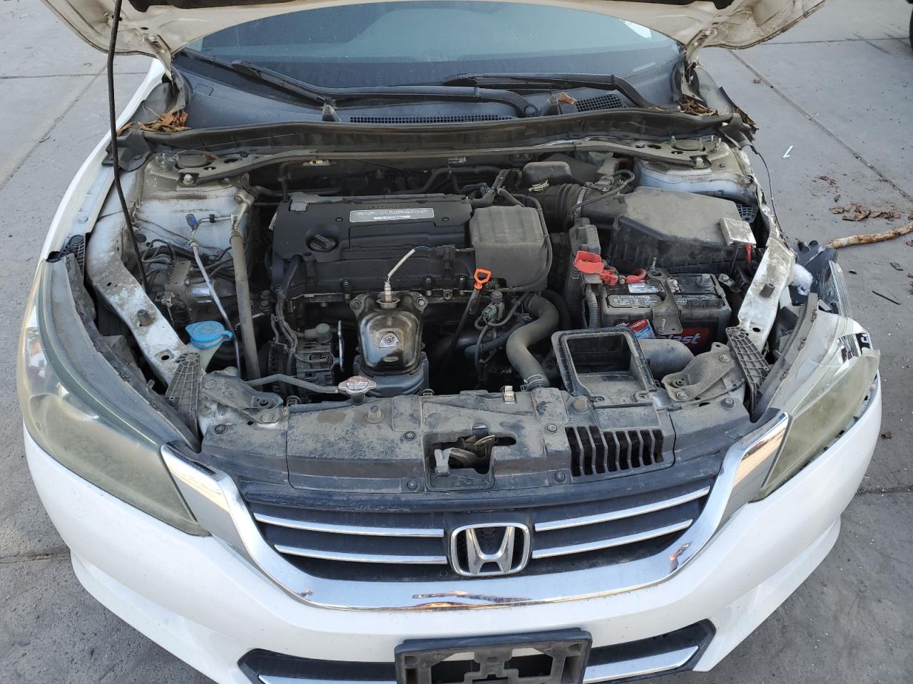 2014 Honda Accord VIN 1HGCR2F52EA256337 Copart auction photo, side / front end damage thumbnail 11