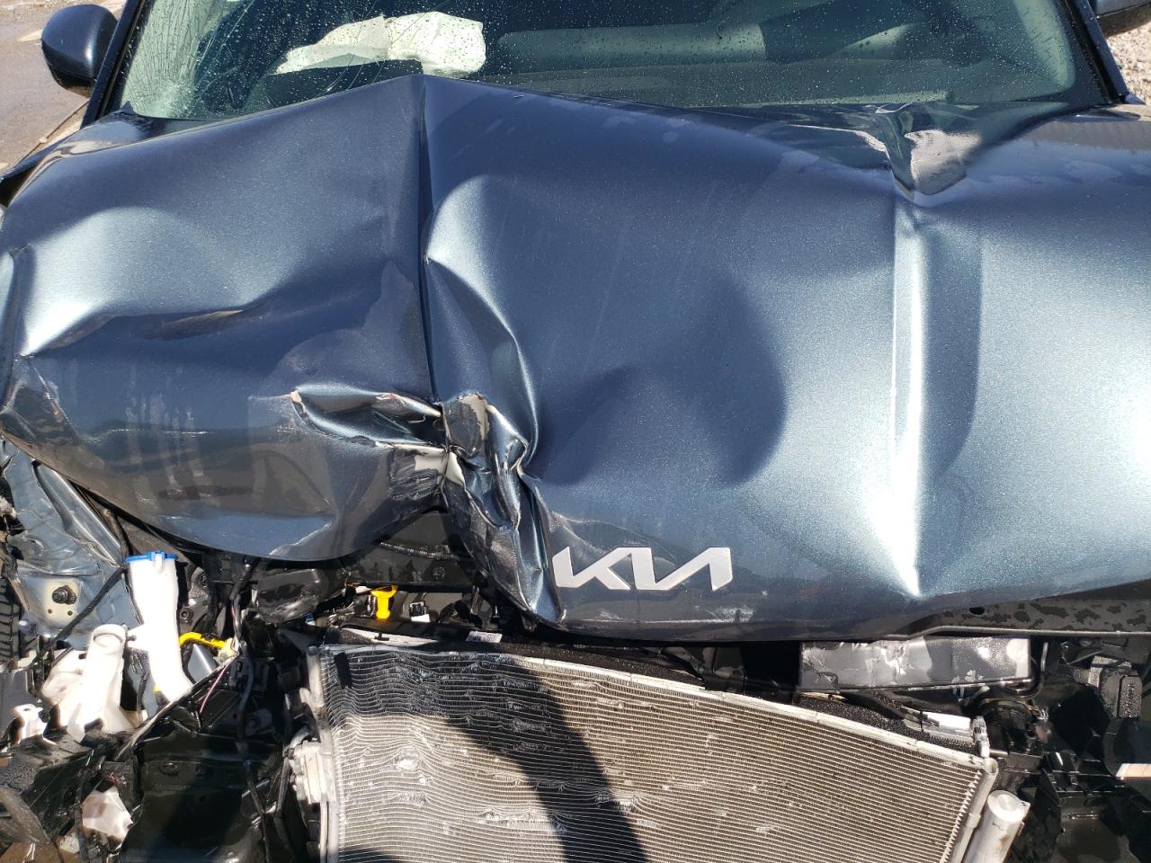 2023 KIA Carnival VIN KNDNC5H39P6296782 Copart auction photo, front end damage thumbnail 12