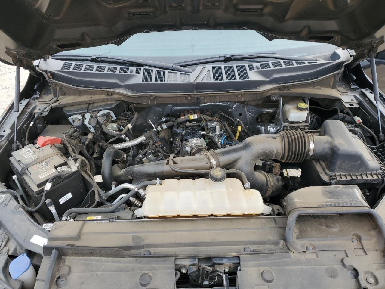 2023 Ford F-150 VIN 1FTEX1CP6PKD50151 Copart auction photo, side damage thumbnail 11