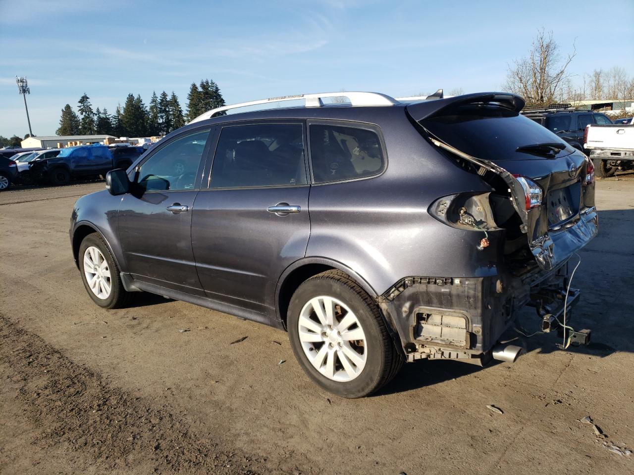 2010 Subaru Tribeca VIN 4S4WX9GD9A4401703 Copart auction photo, rear end damage thumbnail 2