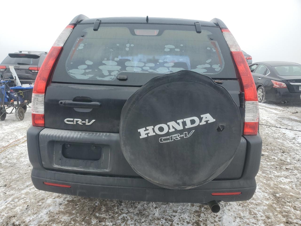 2006 Honda CR-V VIN JHLRD788X6C058139 Copart auction photo, hail damage thumbnail 6