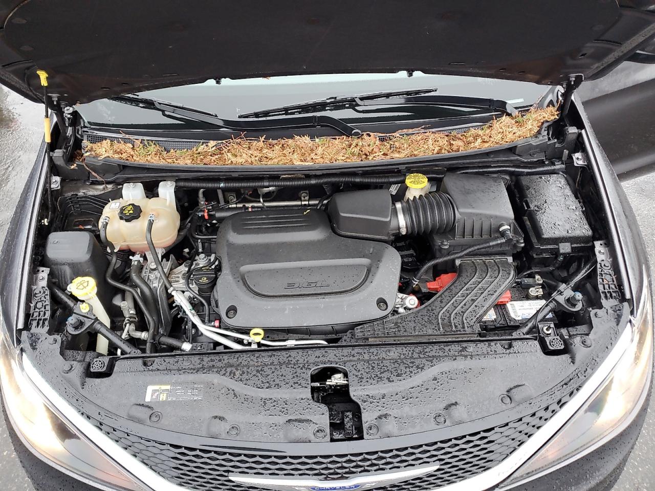 2020 Chrysler Voyager VIN 2C4RC1DG8LR262533 Copart auction photo, side damage thumbnail 12