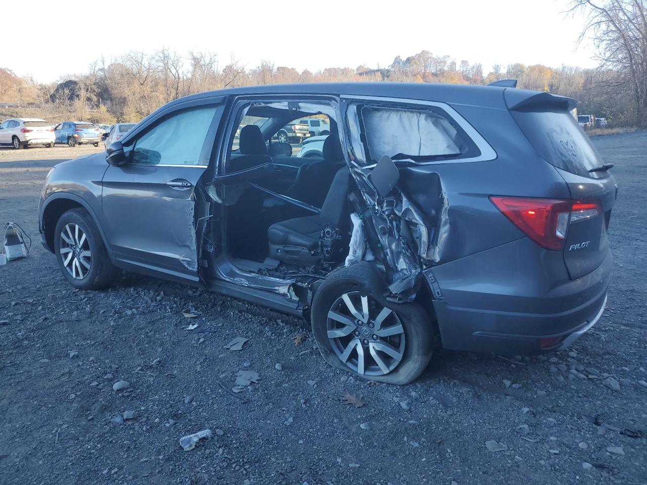 2019 Honda Pilot VIN 5FNYF6H50KB049045 Copart auction photo, side / minor dent/scratches damage thumbnail 2