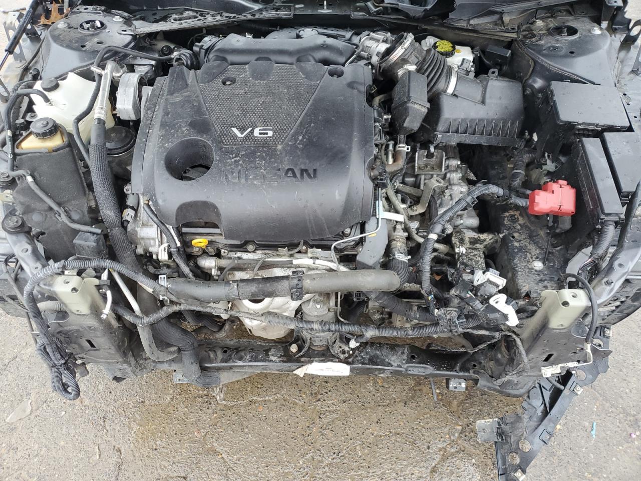 2019 Nissan Maxima VIN 1N4AA6AV8KC373597 Copart auction photo, stripped damage thumbnail 11