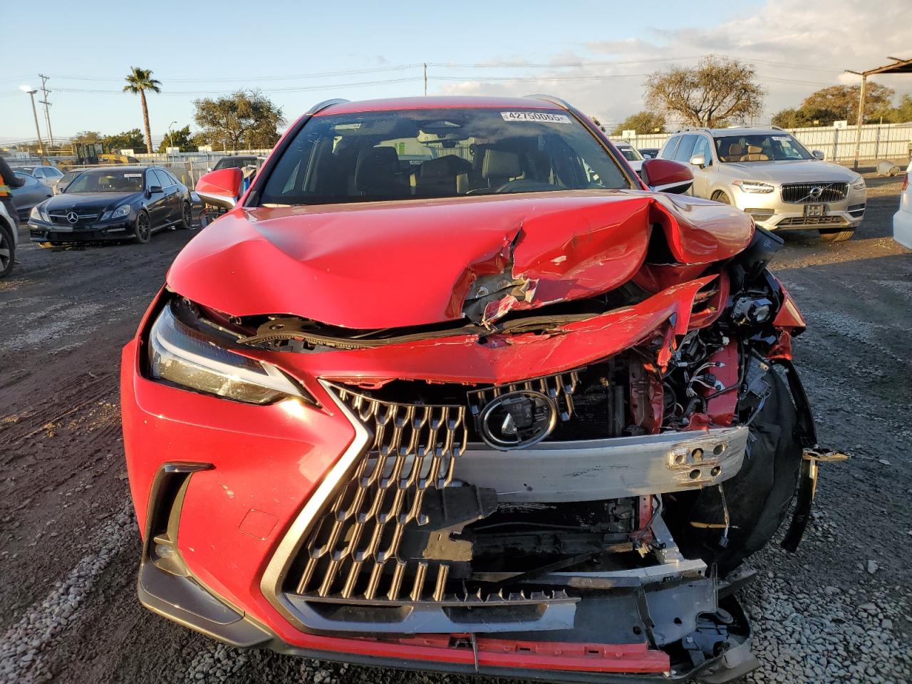 2024 Lexus NX VIN 2T2ADCAZ3RC006672 Copart auction photo, front end damage thumbnail 5