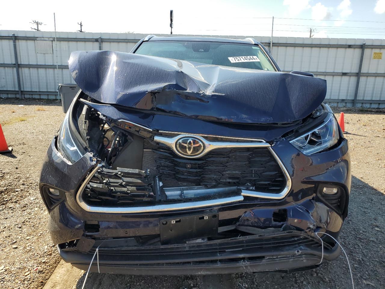 2020 Toyota Highlander VIN 5TDYZRAH9LS015065 Copart auction photo, front end / minor dent/scratches damage thumbnail 5