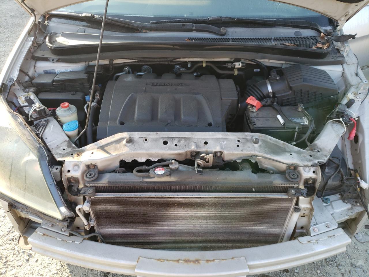 2008 Honda Odyssey VIN 5FNRL38668B038984 Copart auction photo, front end / side damage thumbnail 12