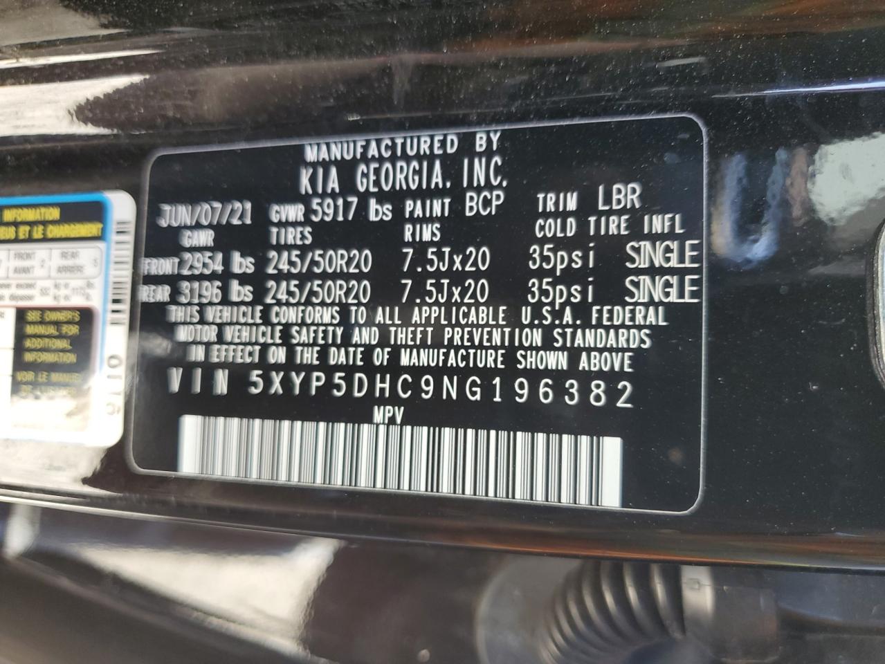2022 KIA Telluride VIN 5XYP5DHC9NG196382 Copart auction photo, front end / rear end damage thumbnail 13