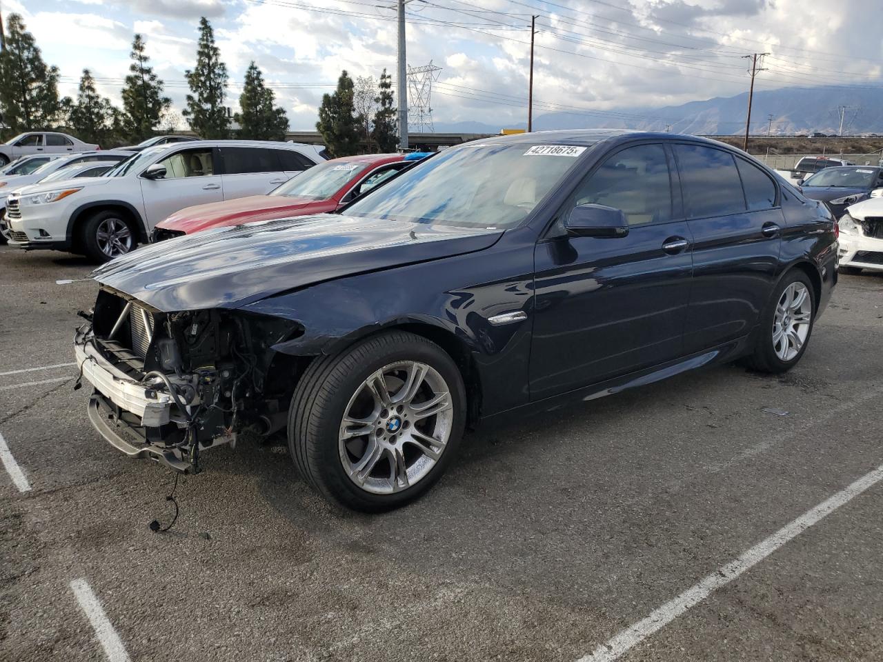 2013 BMW 5er VIN WBAXG5C52DDY30893