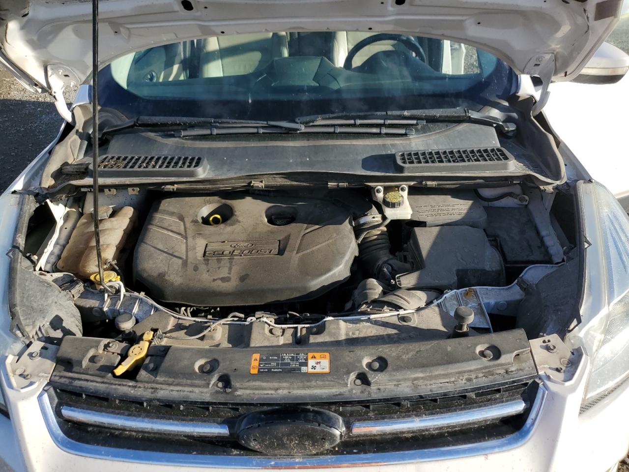 2014 Ford Escape VIN 1FMCU9J95EUA23725 Copart auction photo, all over / minor dent/scratches damage thumbnail 12