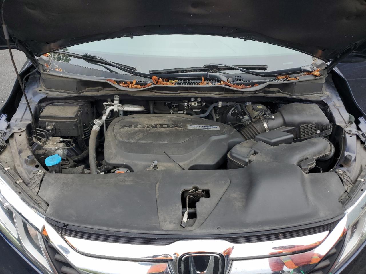 2018 Honda Odyssey VIN 5FNRL6H7XJB017782 Copart auction photo, rear end damage thumbnail 13