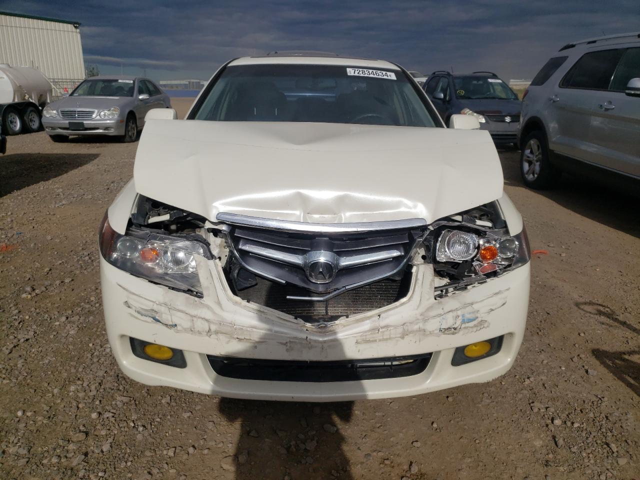 2004 Acura TSX VIN JH4CL95804C806124 Copart auction photo, front end / hail damage thumbnail 5