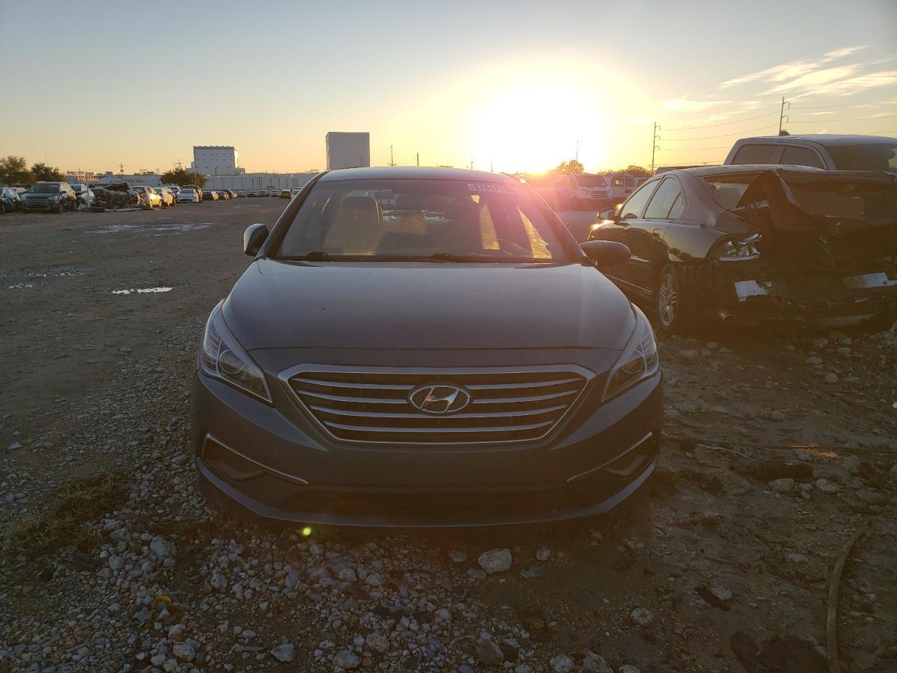 2017 Hyundai Sonata VIN 5NPE24AF9HH566666 Copart auction photo, all over / vandalism damage thumbnail 5
