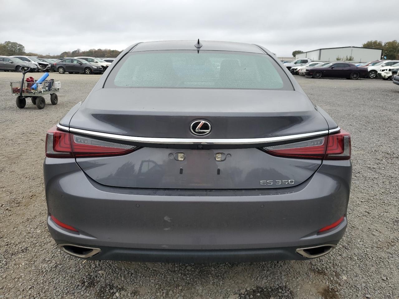 2020 Lexus ES VIN 58ADZ1B14LU080360 Copart auction photo, side damage thumbnail 6