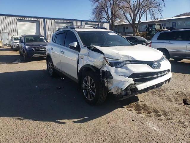 2017 Toyota RAV 4 VIN JTMDJREV6HD093750 Copart auction photo, side damage thumbnail 11