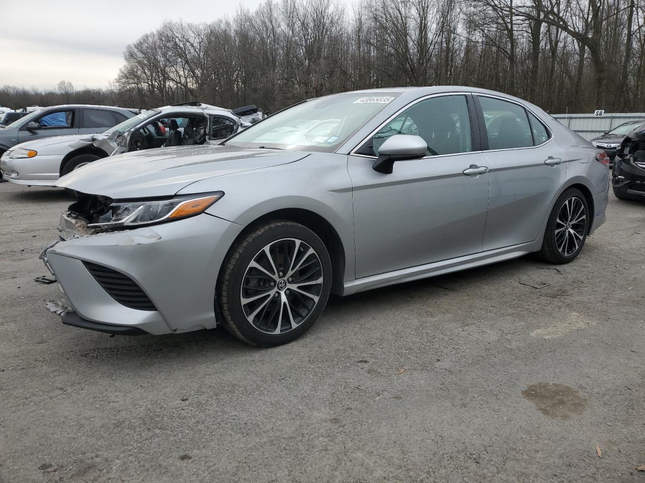 2019 Toyota Camry VIN 4T1B11HK3KU294194