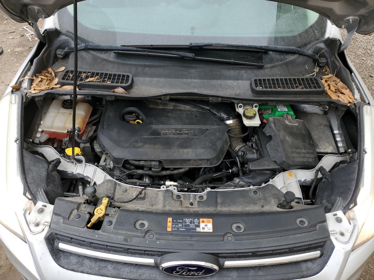 2014 Ford Escape VIN 1FMCU0GX6EUD50202 Copart auction photo, side / rear end damage thumbnail 11