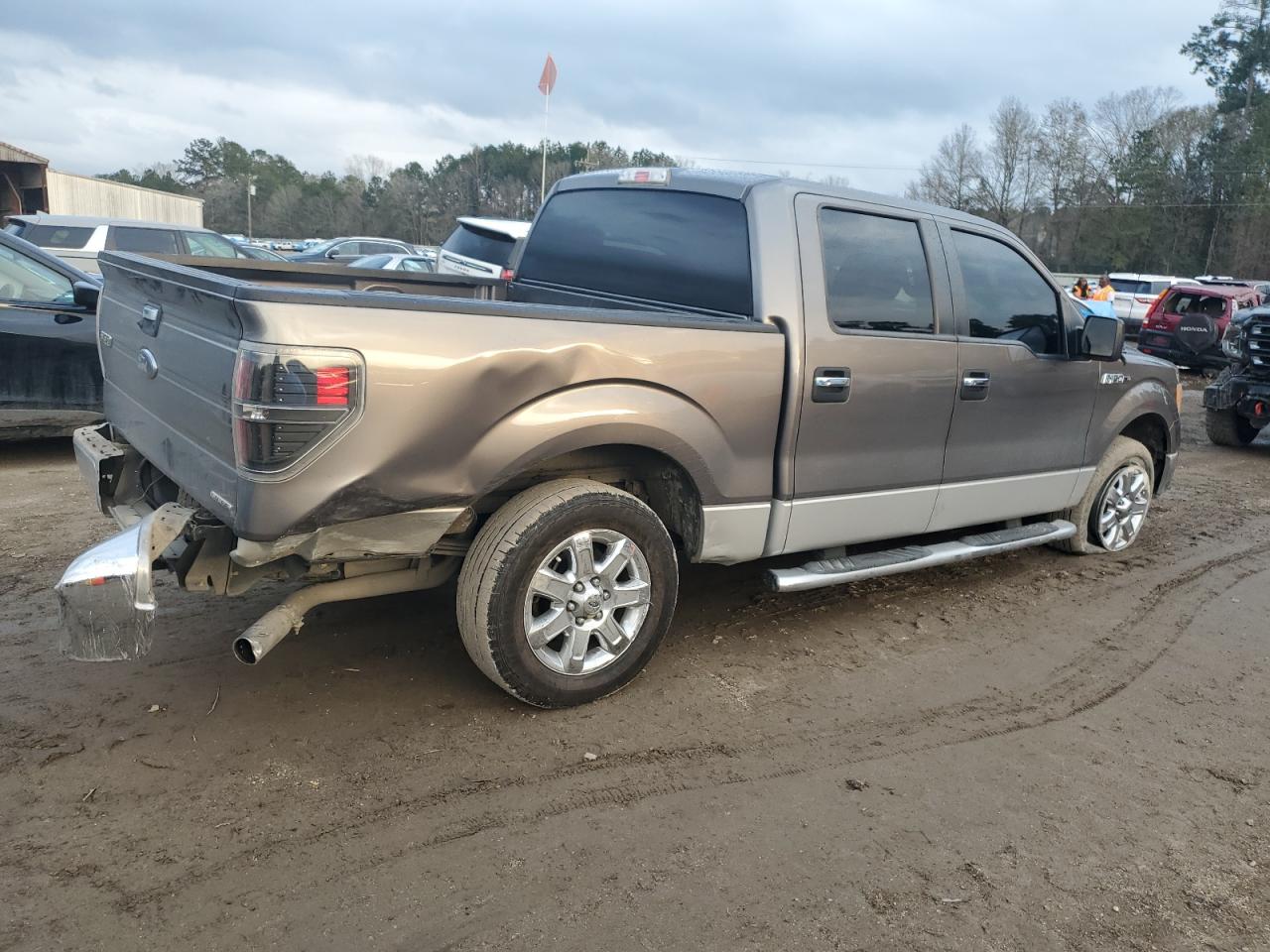 2013 Ford F-150 VIN 1FTFW1CF4DFC39729 Copart auction photo, rear end damage thumbnail 3