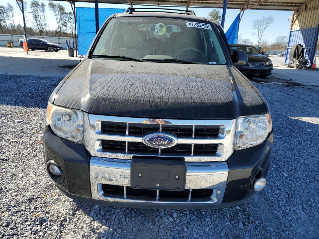 2009 Ford Escape VIN 1FMCU49359KA25026 Copart auction photo, side / front end damage thumbnail 5