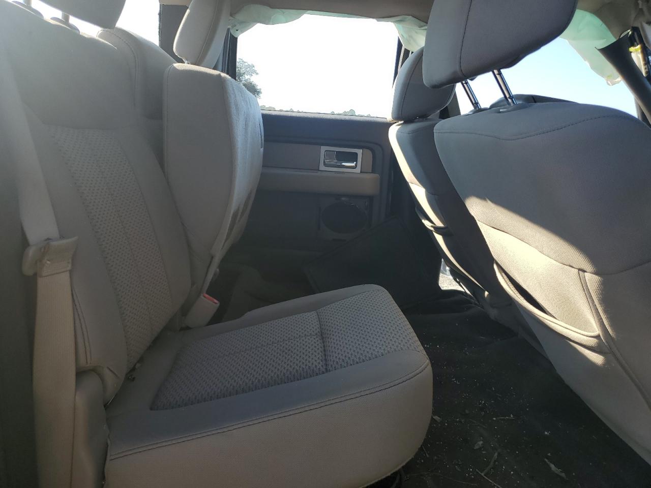 2010 Ford F-150 VIN 1FTEW1C85AKE41494 Copart auction photo, all over damage thumbnail 10