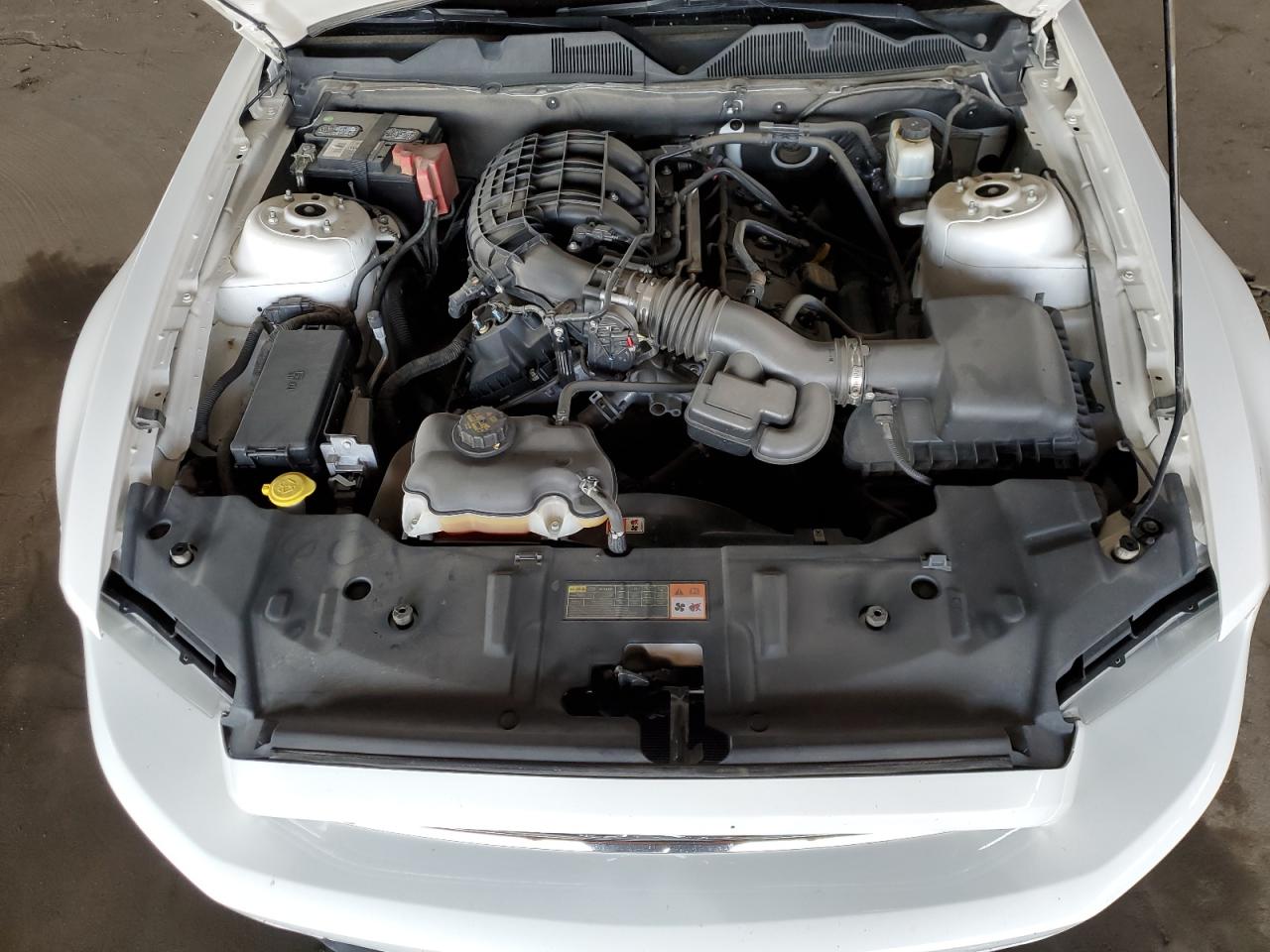 2013 Ford Mustang VIN 1ZVBP8AM4D5262632 Copart auction photo, side / rear end damage thumbnail 11