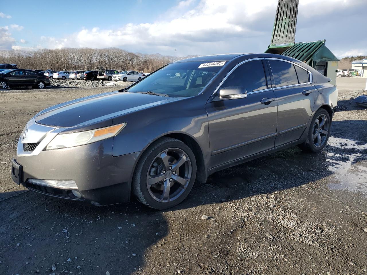 2009 Acura TL VIN 19UUA86209A005505