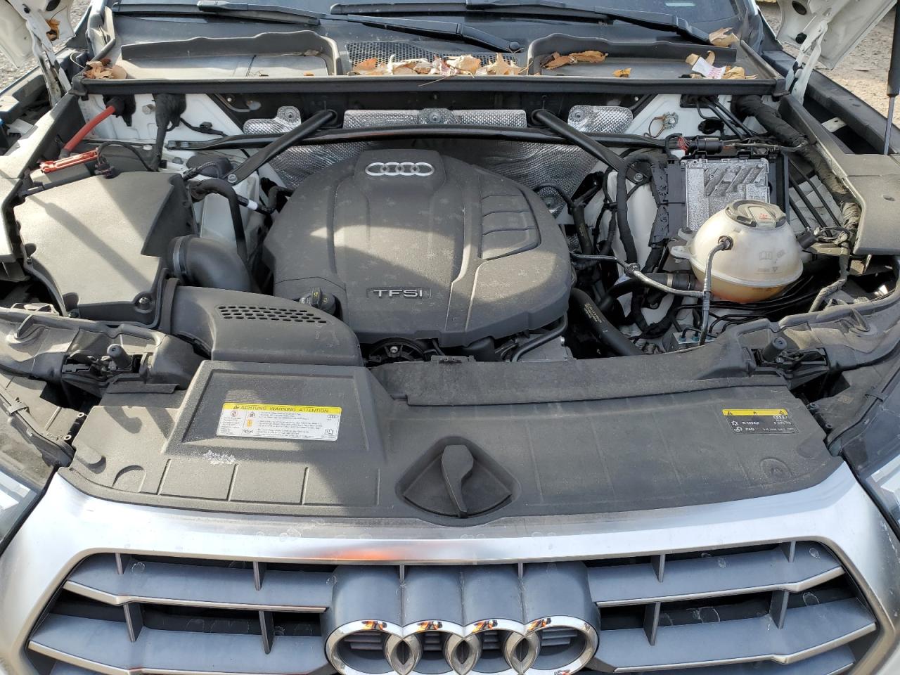 2019 Audi Q5 VIN WA1ANAFYXK2037843 Copart auction photo, side damage thumbnail 12
