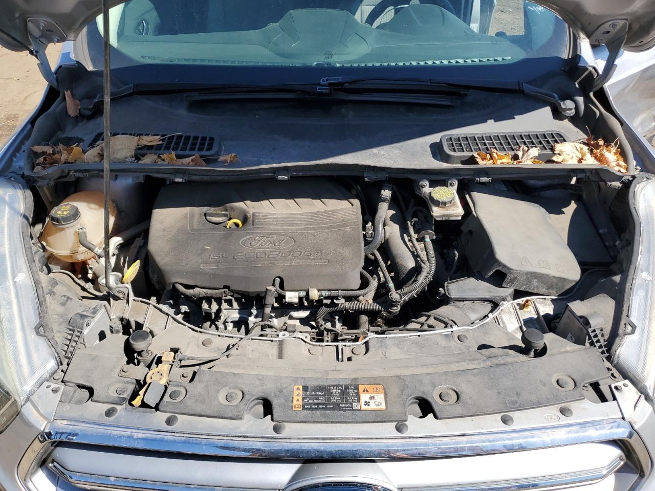 2017 Ford Escape VIN 1FMCU0GD7HUC62446 Copart auction photo, side / rear end damage thumbnail 12
