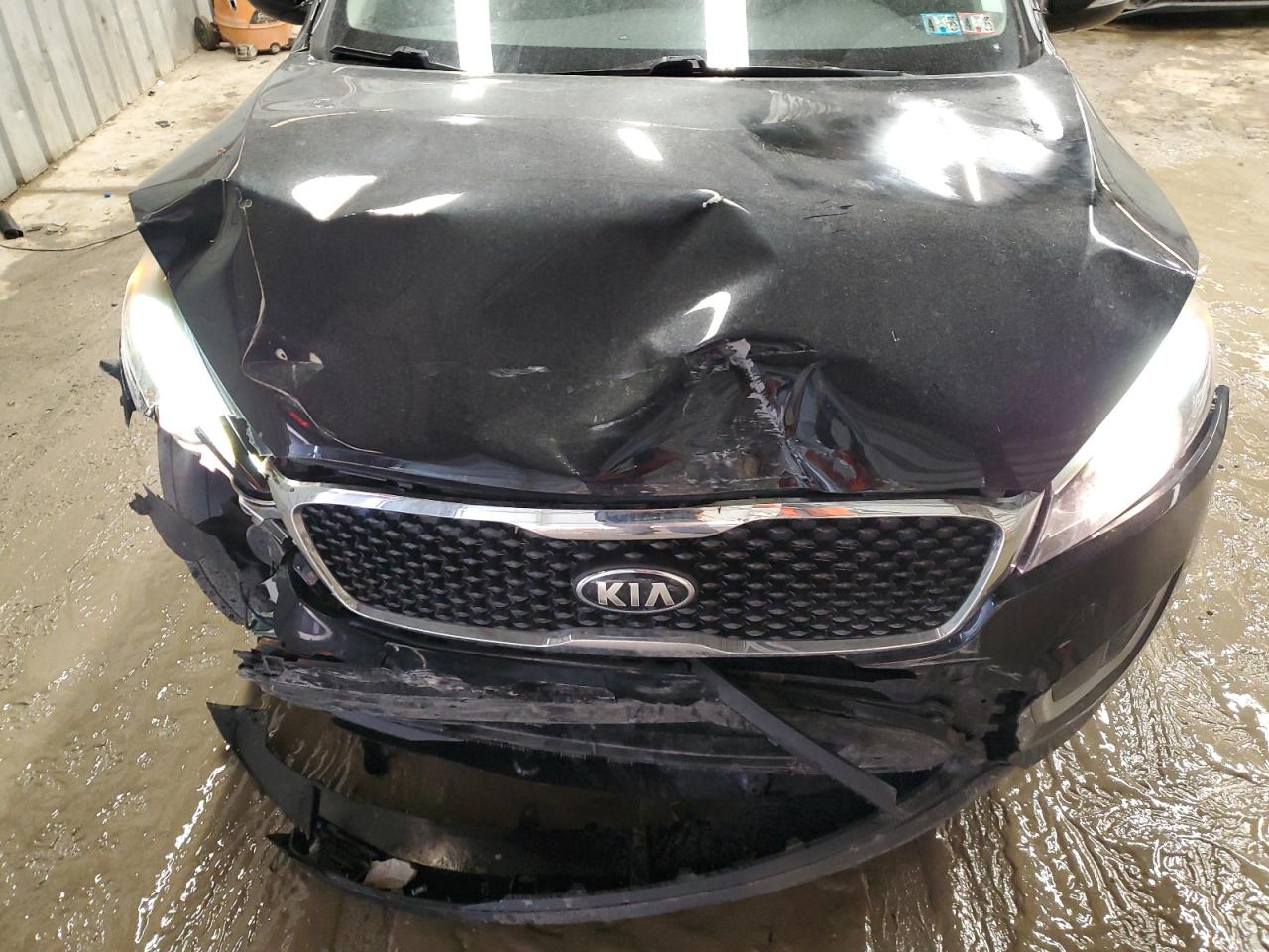 2017 KIA Sorento VIN 5XYPGDA54HG212210 Copart auction photo, front end damage thumbnail 12