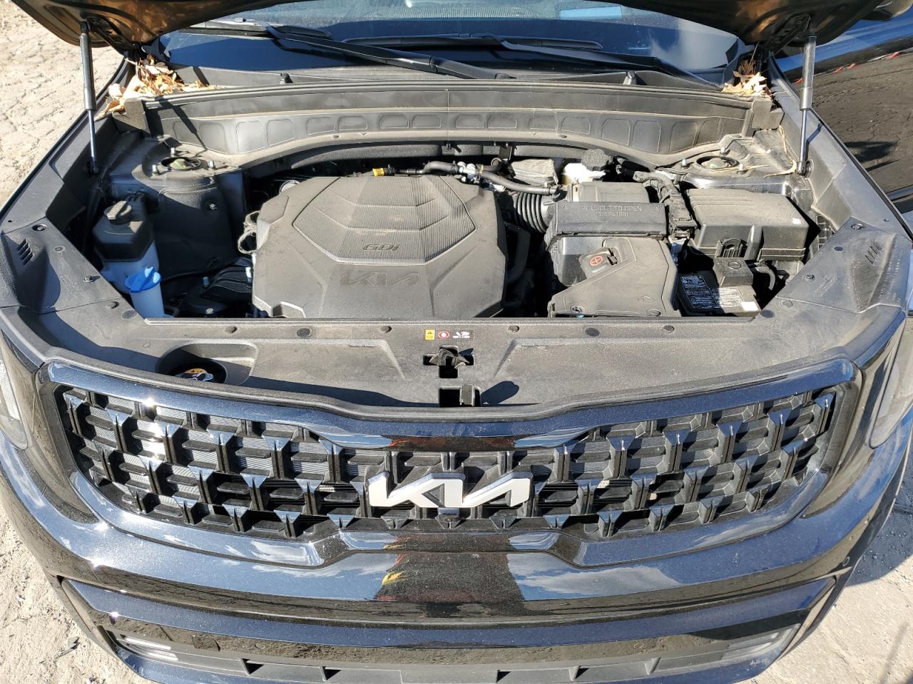 2024 KIA Telluride VIN 5XYP5DGC1RG481052 Copart auction photo, side / rear end damage thumbnail 12