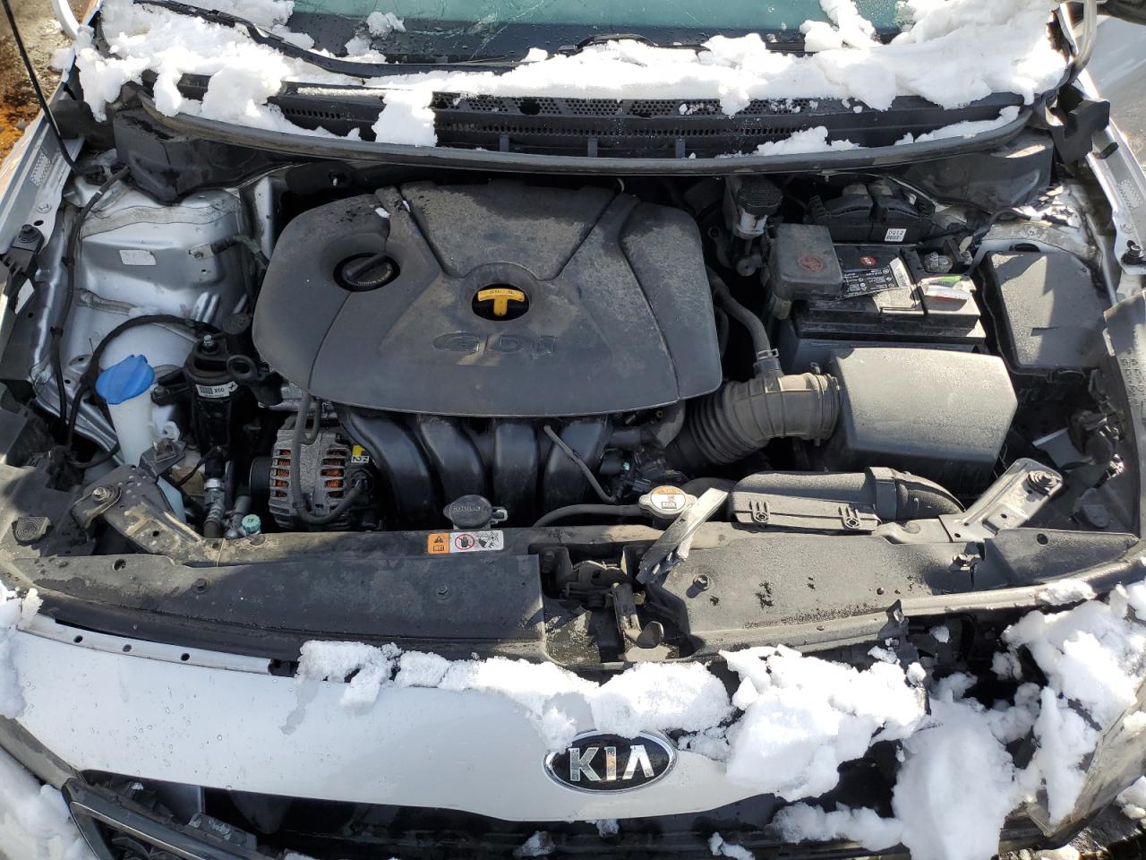 2017 KIA Forte VIN KNAFK5A81H5673543 Copart auction photo, front end / hail damage thumbnail 12