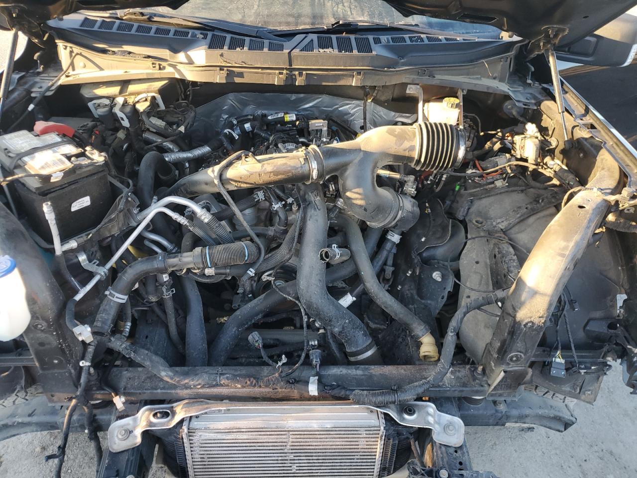 2021 Ford F-150 VIN 1FTEW1EP4MFC78614 Copart auction photo, front end damage thumbnail 11