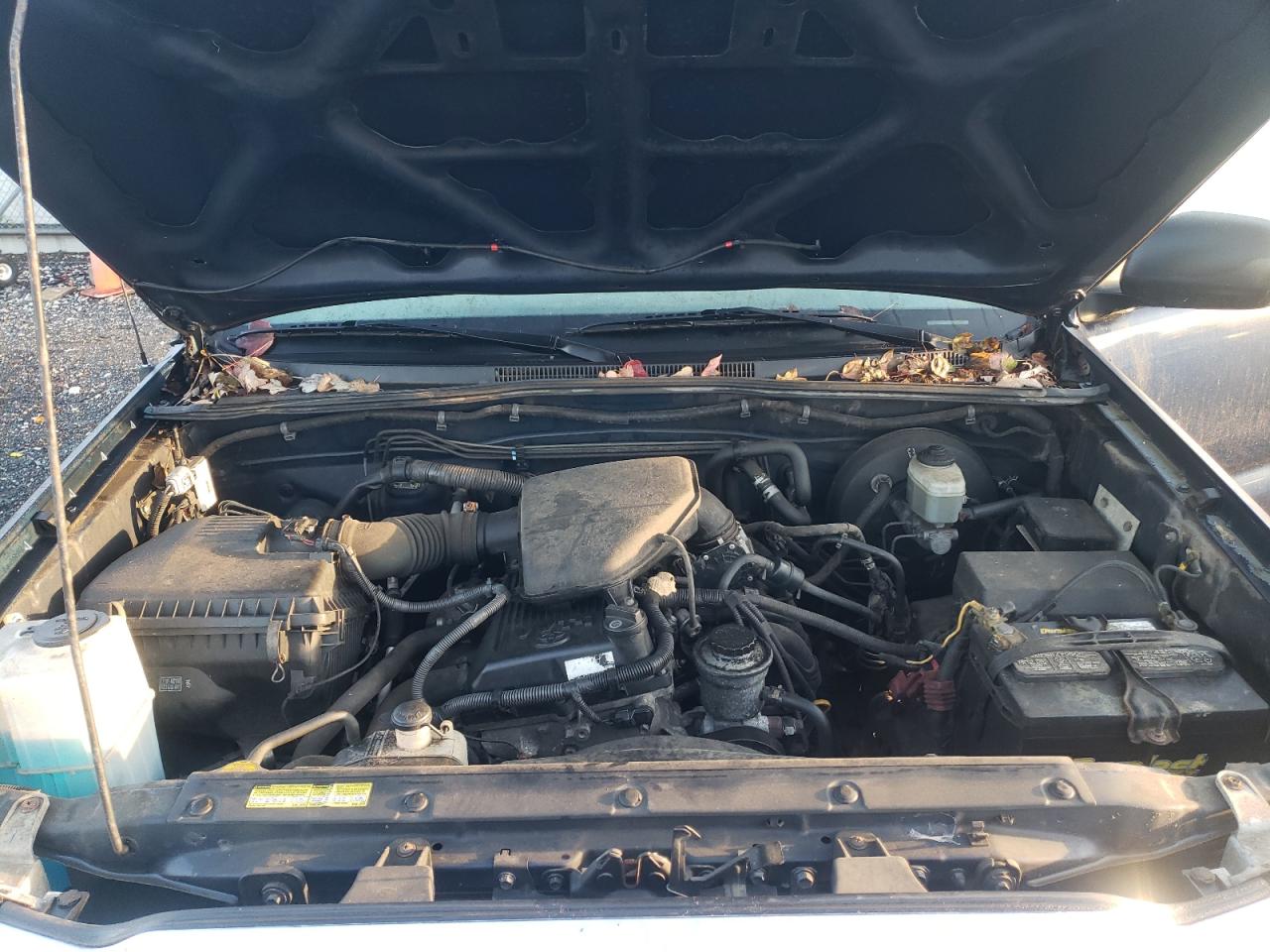2008 Toyota Tacoma VIN 5TENX62N38Z477241 Copart auction photo, side / minor dent/scratches damage thumbnail 11