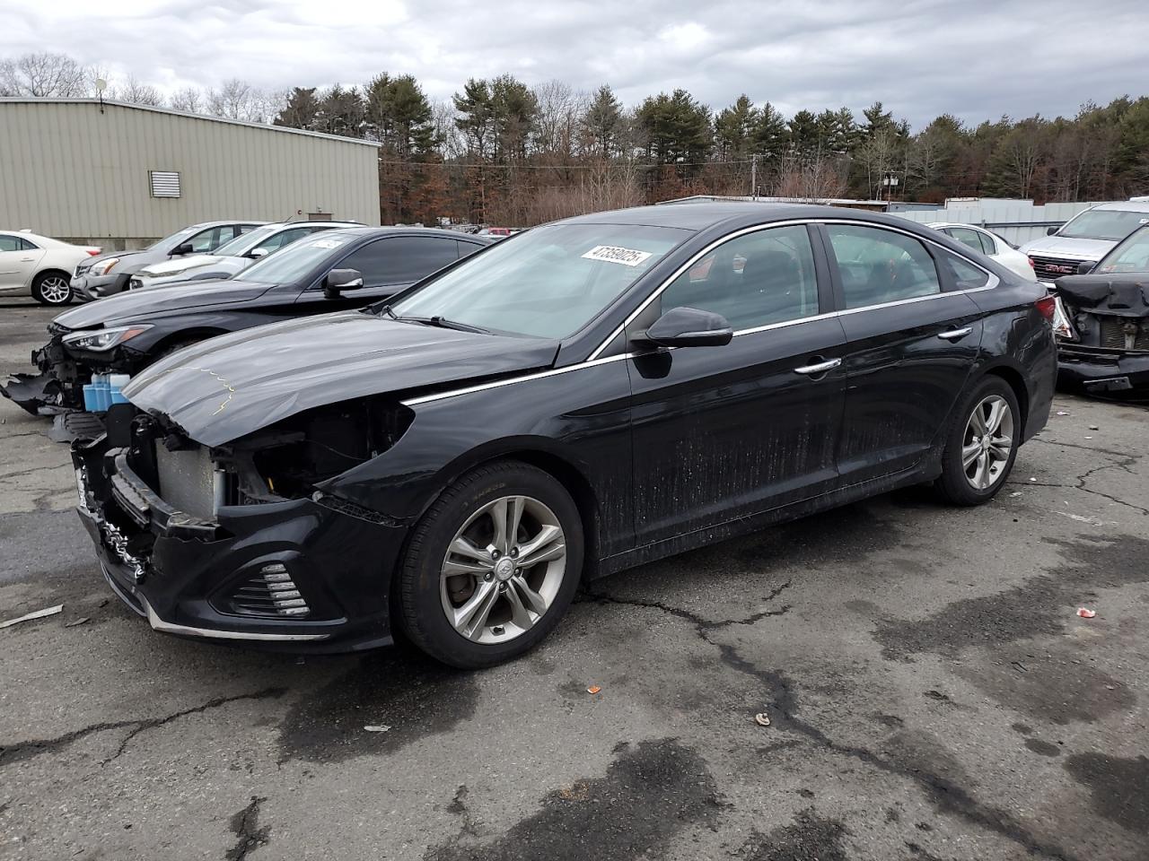 2019 Hyundai Sonata VIN 5NPE34AF2KH778300