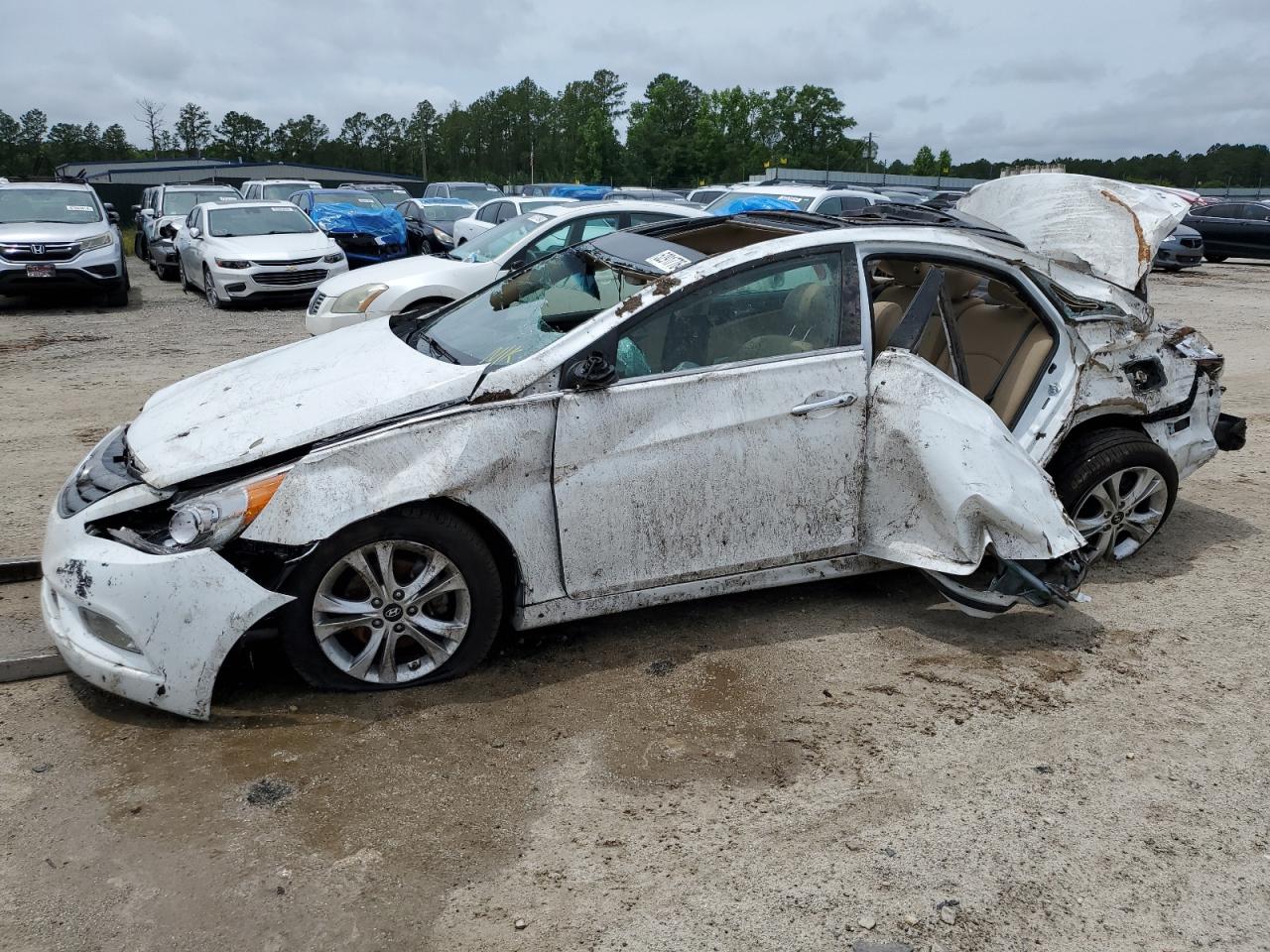 2013 Hyundai Sonata VIN 5NPEC4AC2DH653662